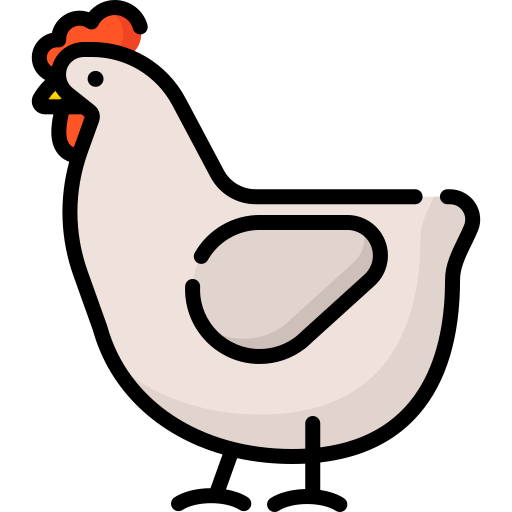 chicken